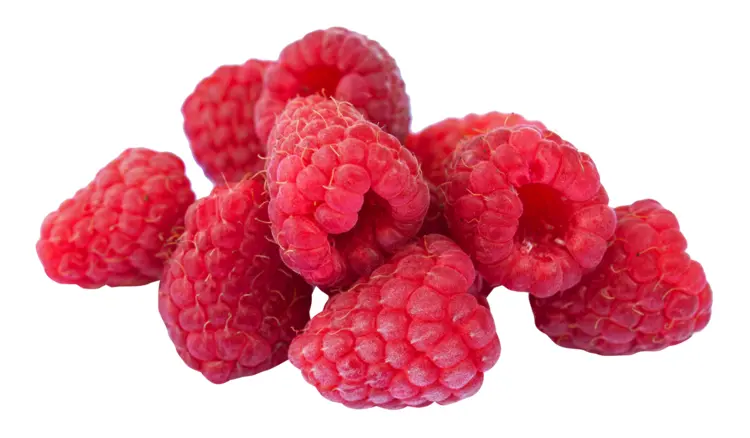 Cluster of Fresh Red Raspberries