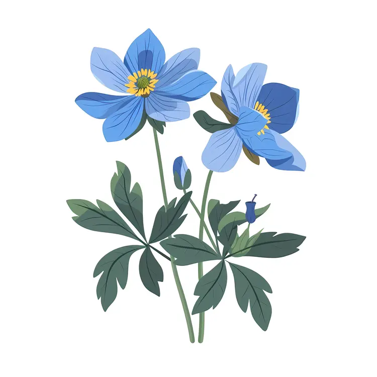 Lovely Blue Flowers with Green Leaves