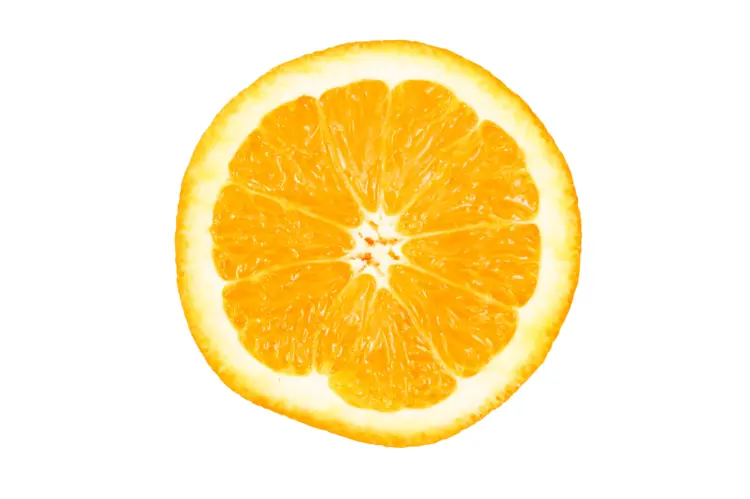 Fresh Orange Slice