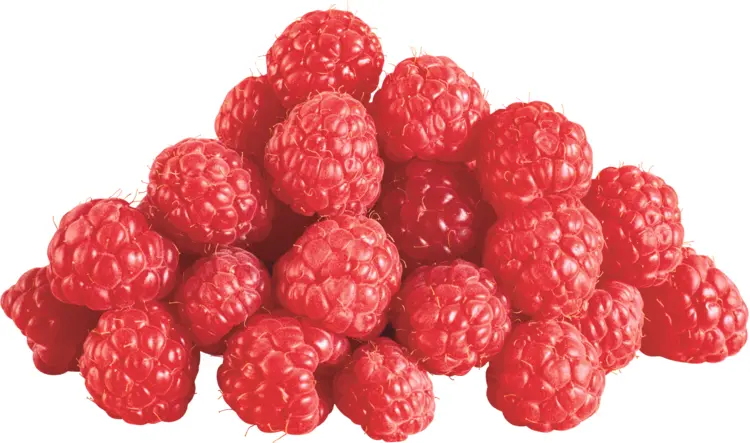Pile of Fresh Raspberries