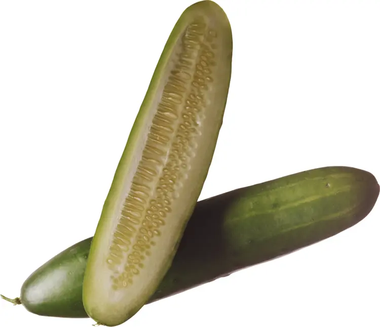 Fresh Sliced Cucumber