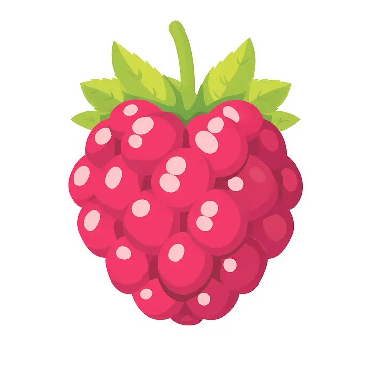Cartoon Red Raspberry Drawing