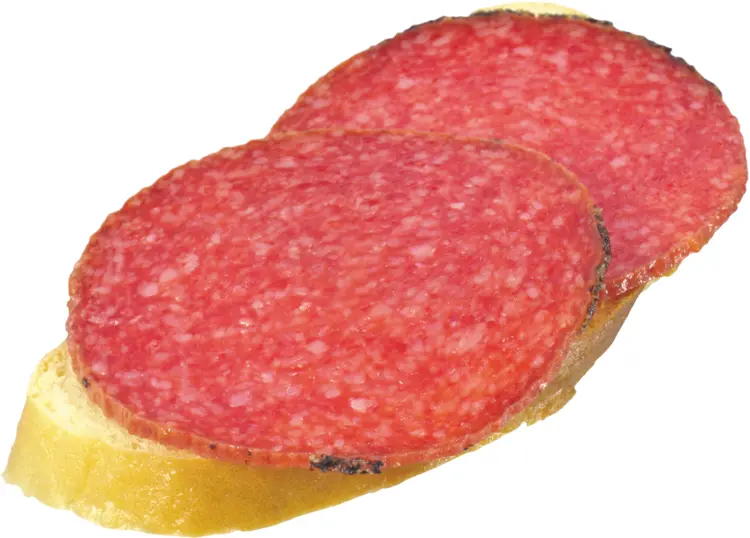 Salami Sandwich on Bread