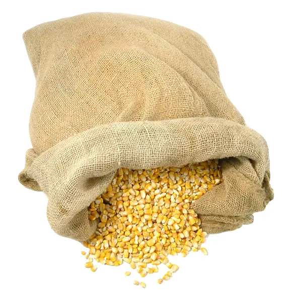 Bag of Yellow Corn