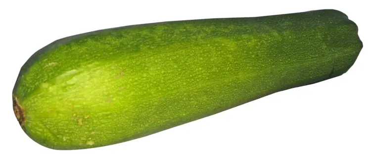 Green Zucchini
