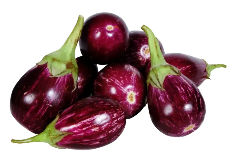 Fresh Purple Eggplants for Healthy Cooking