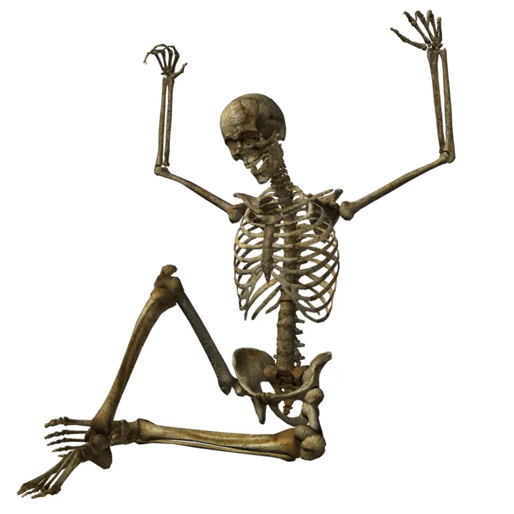 Jumping Skeleton Illustration