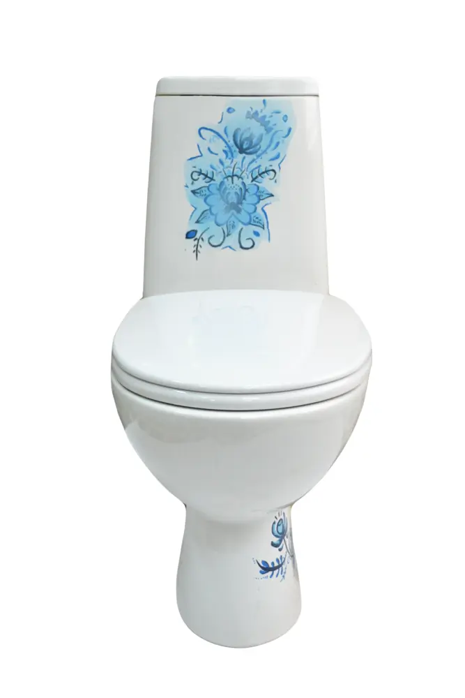 Decorated White Toilet with Blue Flowers