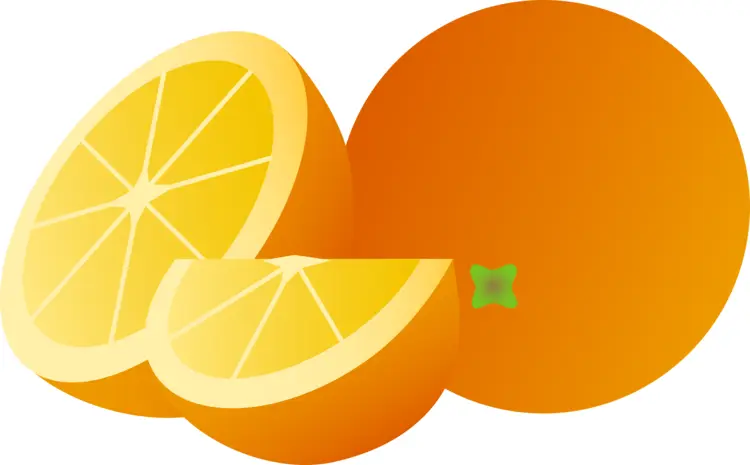 Juicy Orange Slice