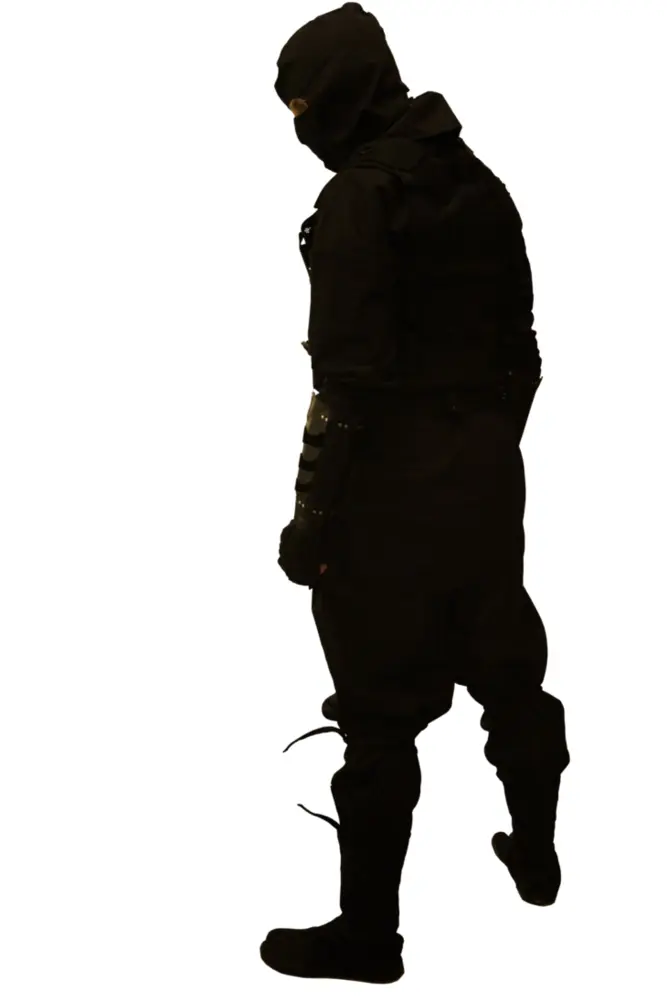 Ninja in Stealth Mode