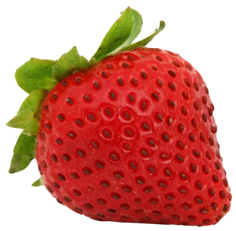 Fresh Red Strawberry