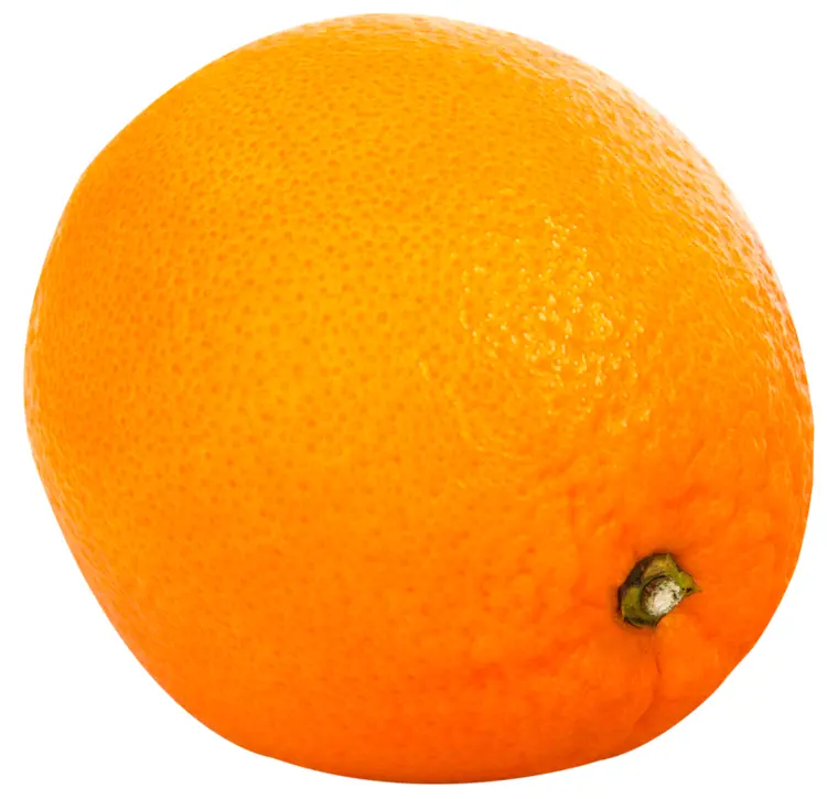 Fresh Orange Fruit