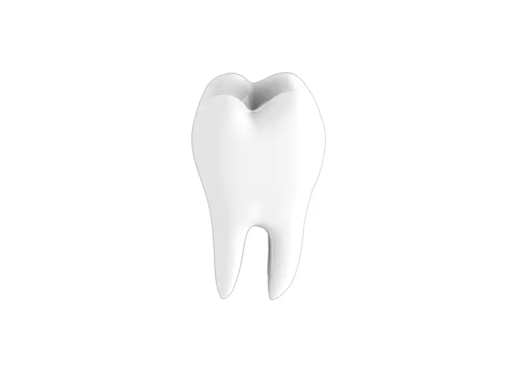 White Tooth on Transparent Background