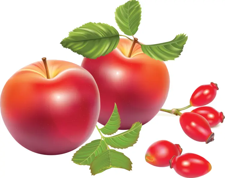 Fresh Red Apples with Leaves and Rose Hips