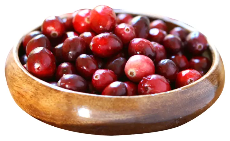 Bowl of Fresh Cranberries