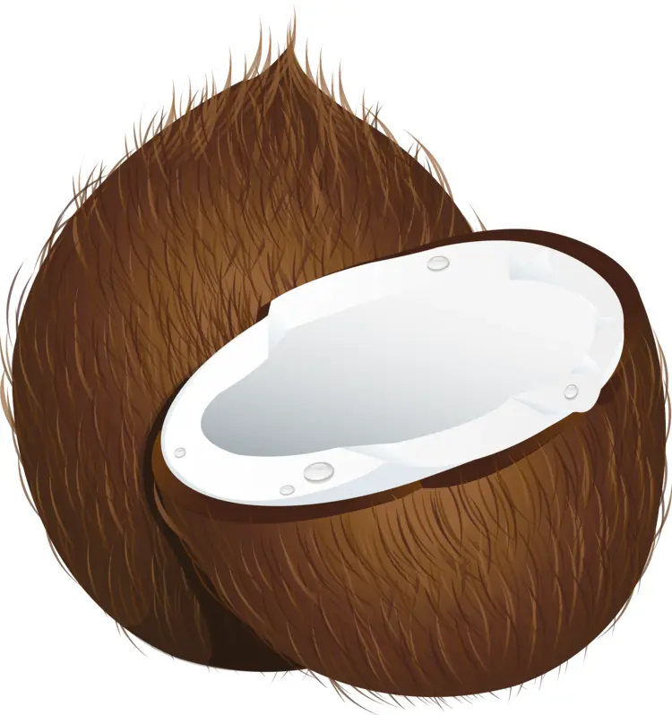 Fresh Coconut with White Flesh