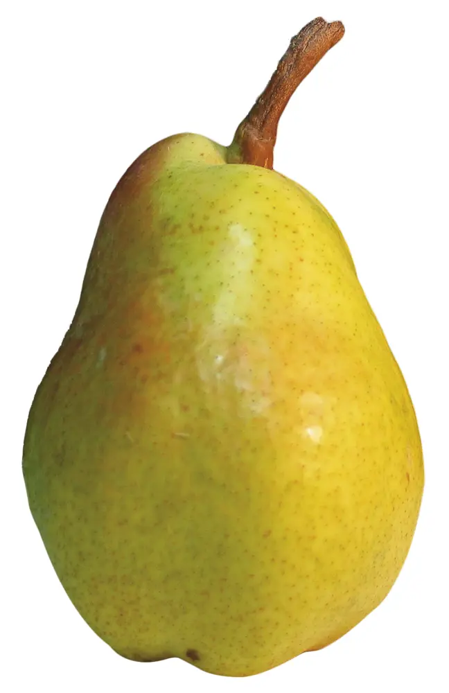Green Pear