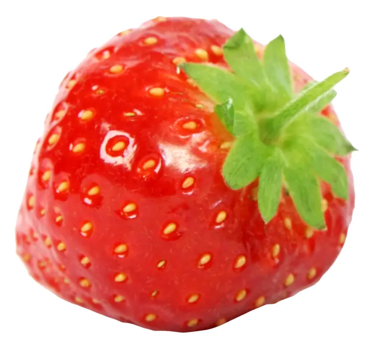 Juicy Red Strawberry