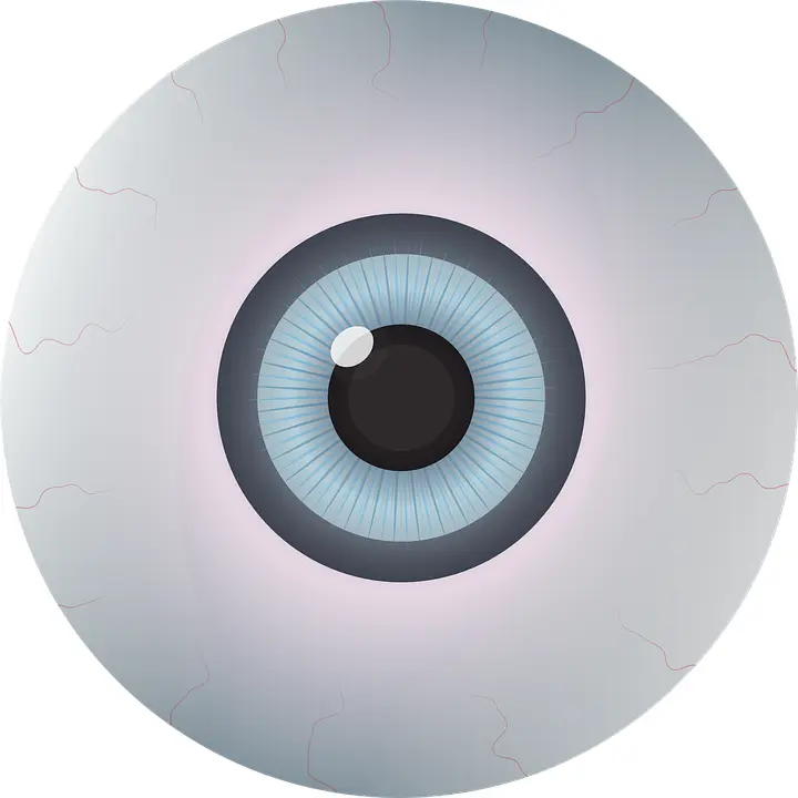 Gray Eye Illustration