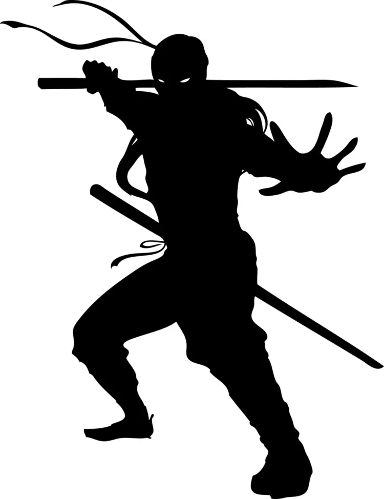 Black Silhouette Ninja