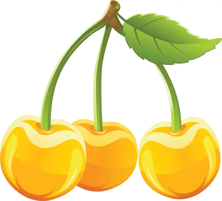 Yellow Cherries with Green Leaf