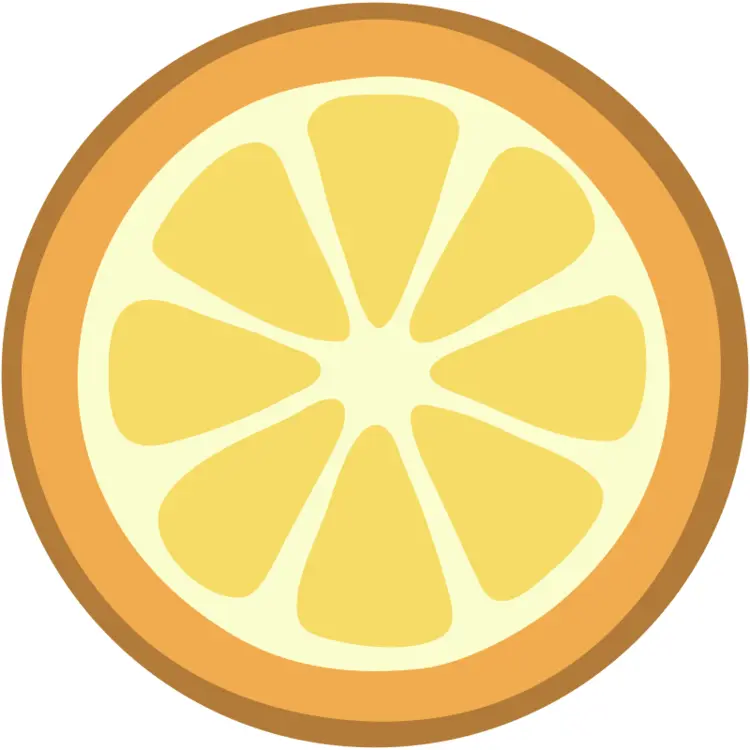 Top View of Orange Slice