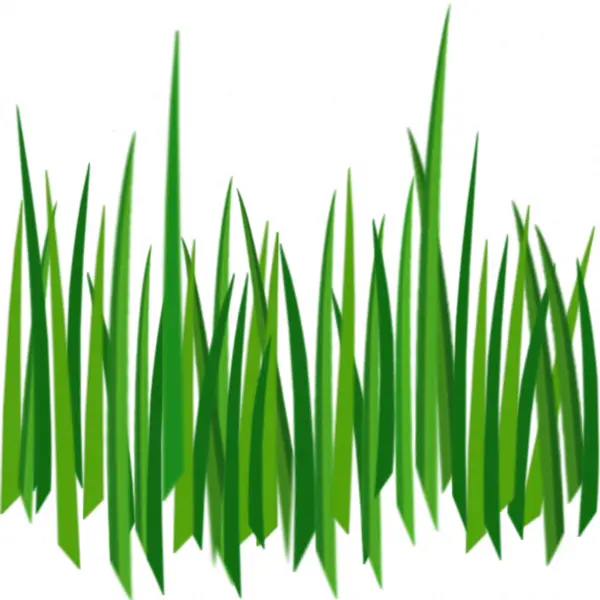 Tall Green Grass Illustration