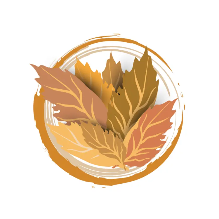 Autumn Leaves Illustration