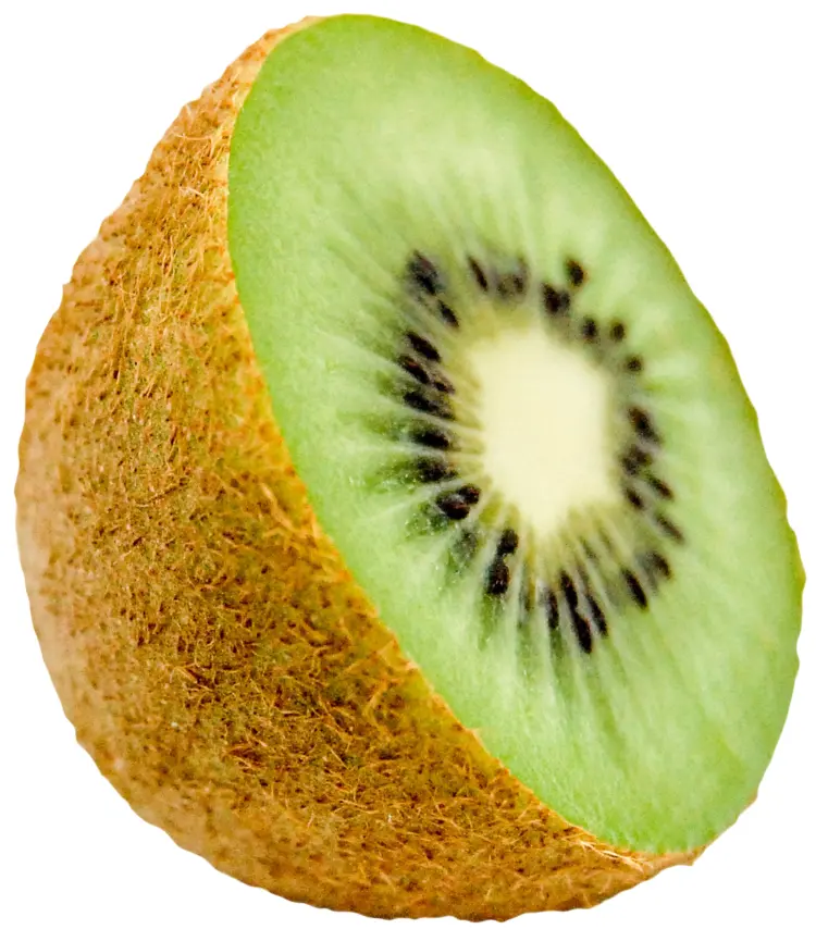 Sliced Kiwi Fruit