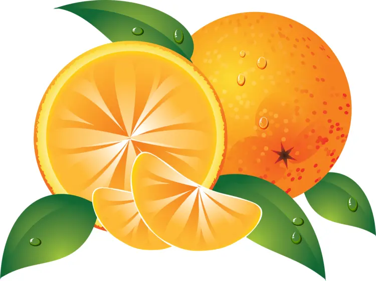 Oranges with Slices and Leaves