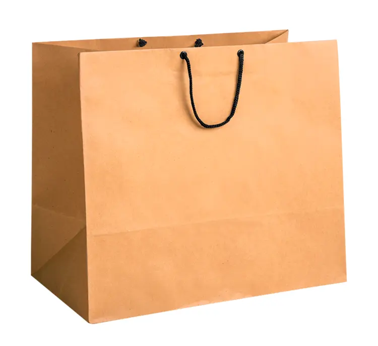 Brown Paper Bag for Shopping
