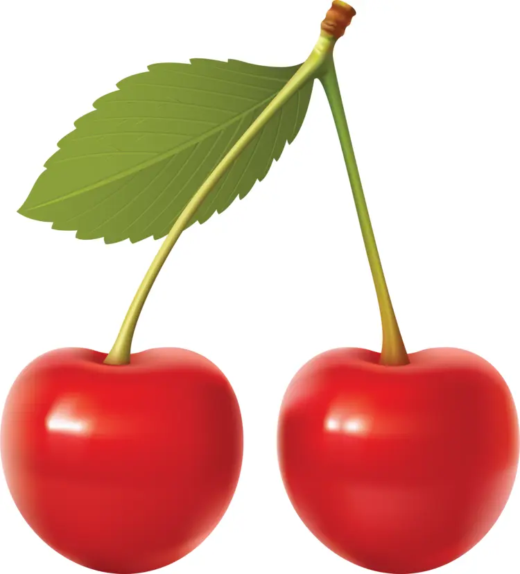 Red Cherries with Leaf