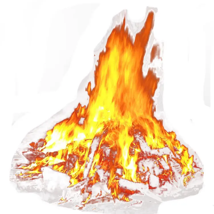 Realistic Campfire with Burning Logs