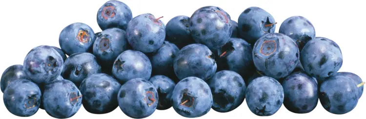 Cluster of Fresh Blueberries