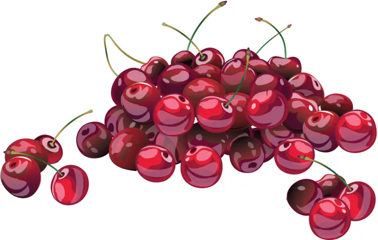 Bunch of Red Cherries
