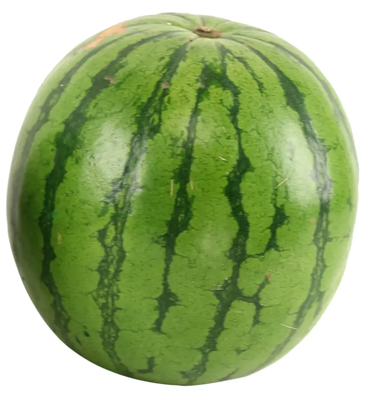 Green Round Watermelon