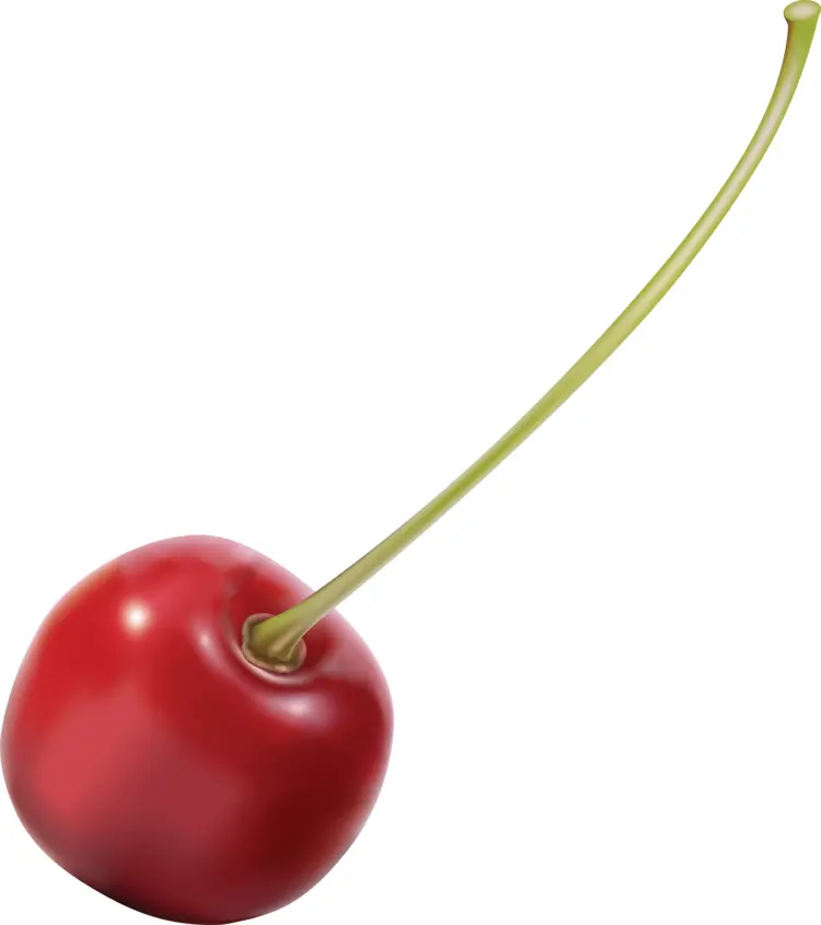 Single Red Cherry with Stem