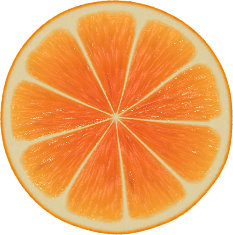 Juicy Orange Slice