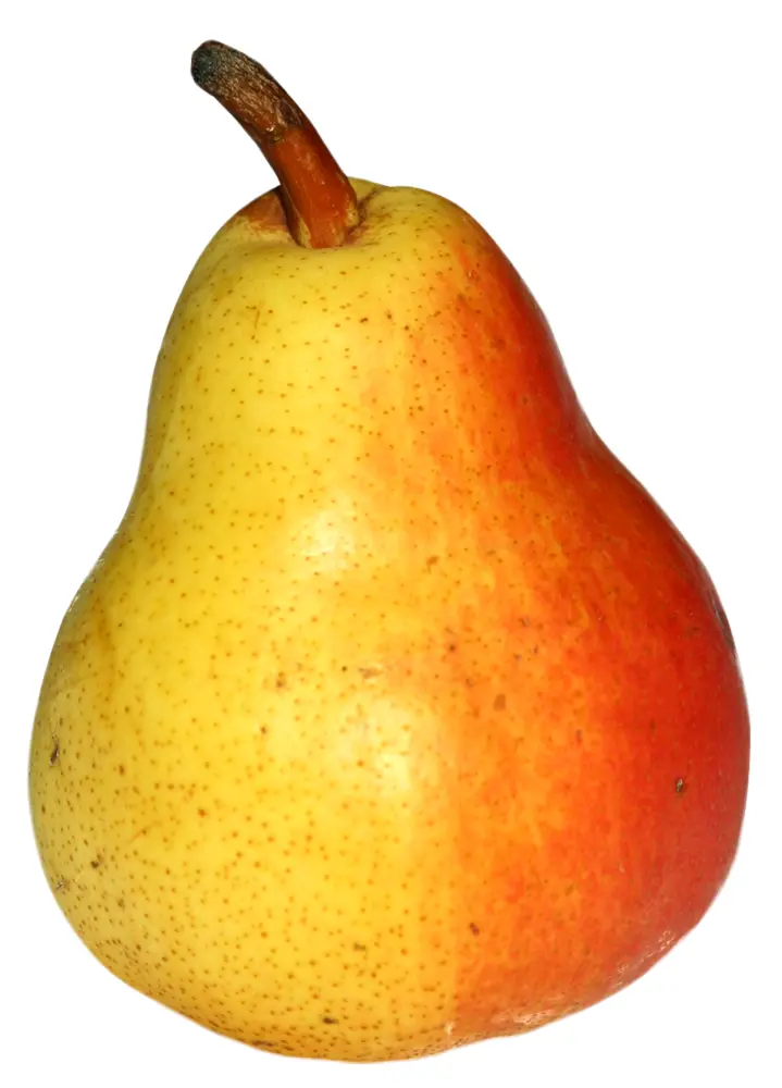 Yellow and Red Pear
