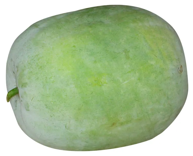 Whole Green Melon