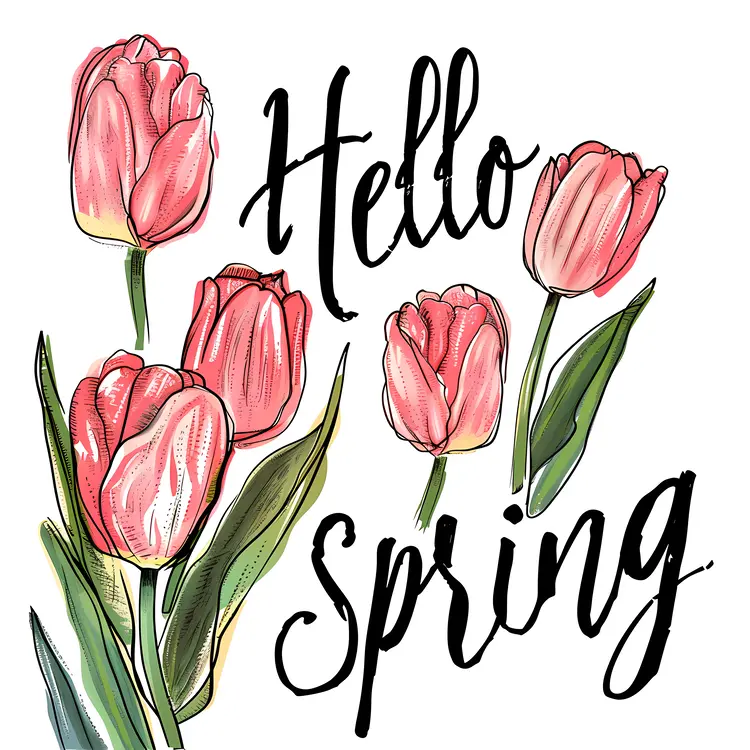 Pink Tulips