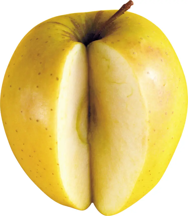 Sliced Yellow Apple