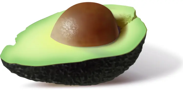 Cut Avocado with Seed