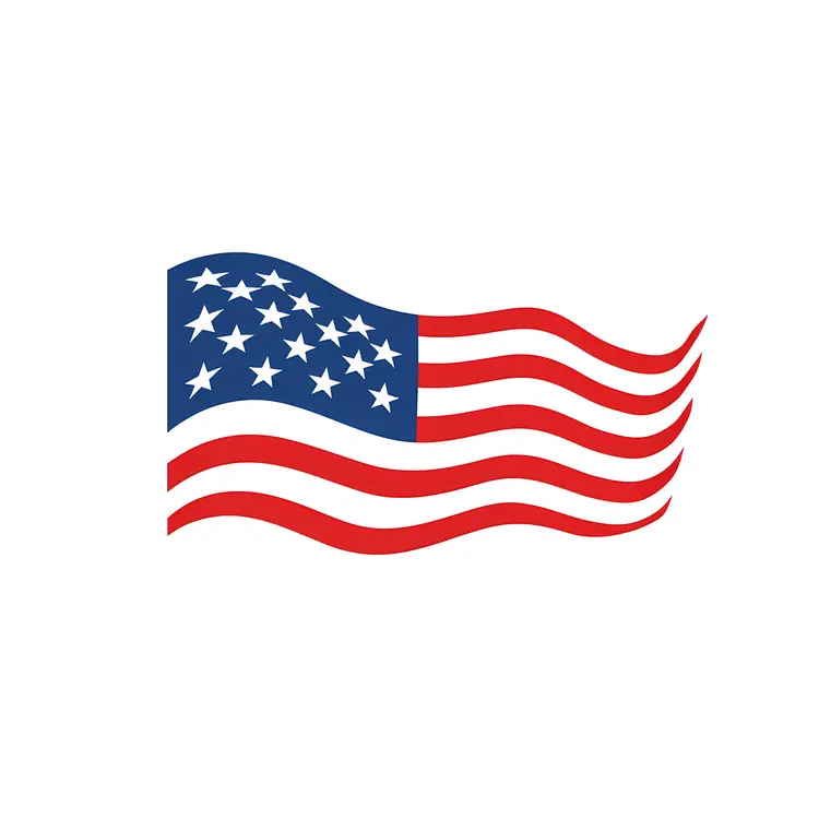 Waving American Flag