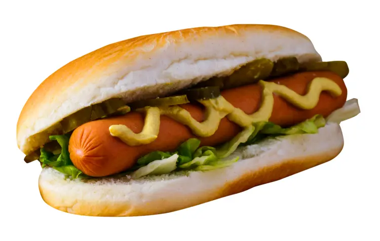 Tasty Hot Dog