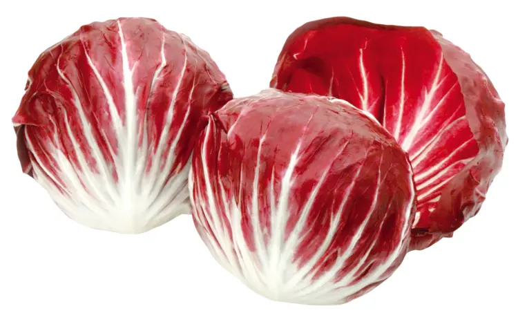 Fresh Red Radicchio for Healthy Salads