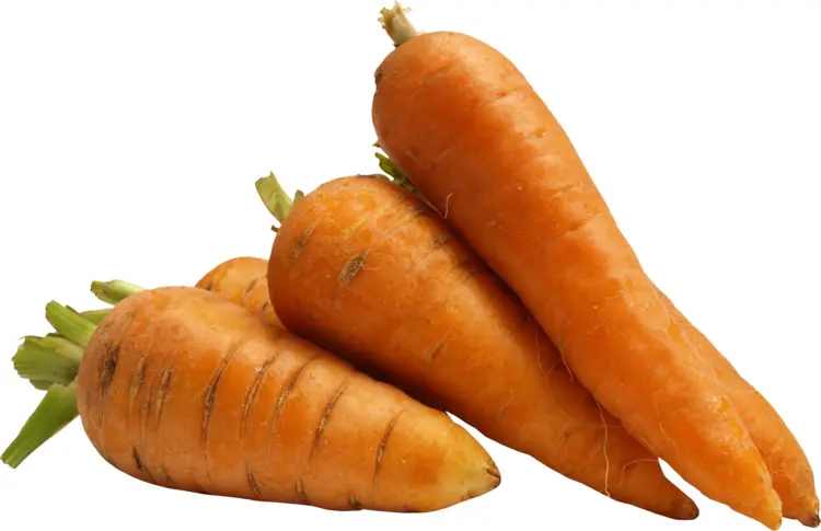 Fresh Orange Carrots