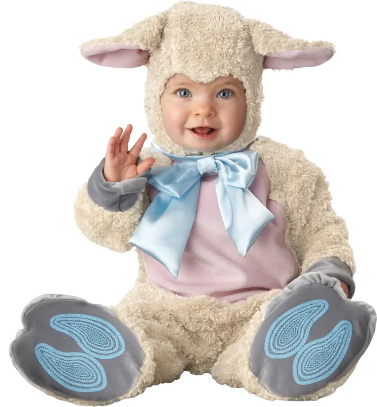 Baby in Lamb Costume