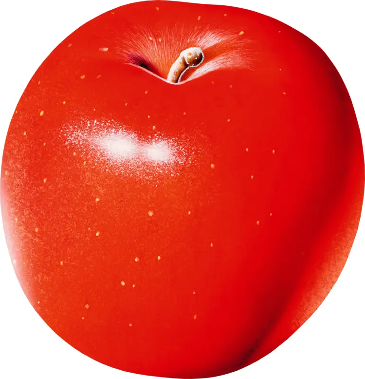 Glossy Red Apple