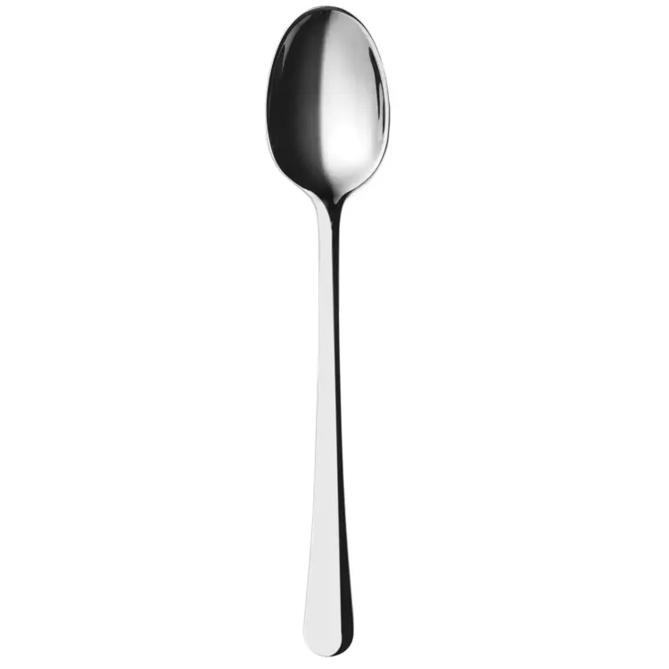 Shiny Silver Spoon for Dining